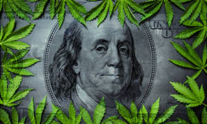 The Complicated Relationship Between Big Pharma and Cannabis