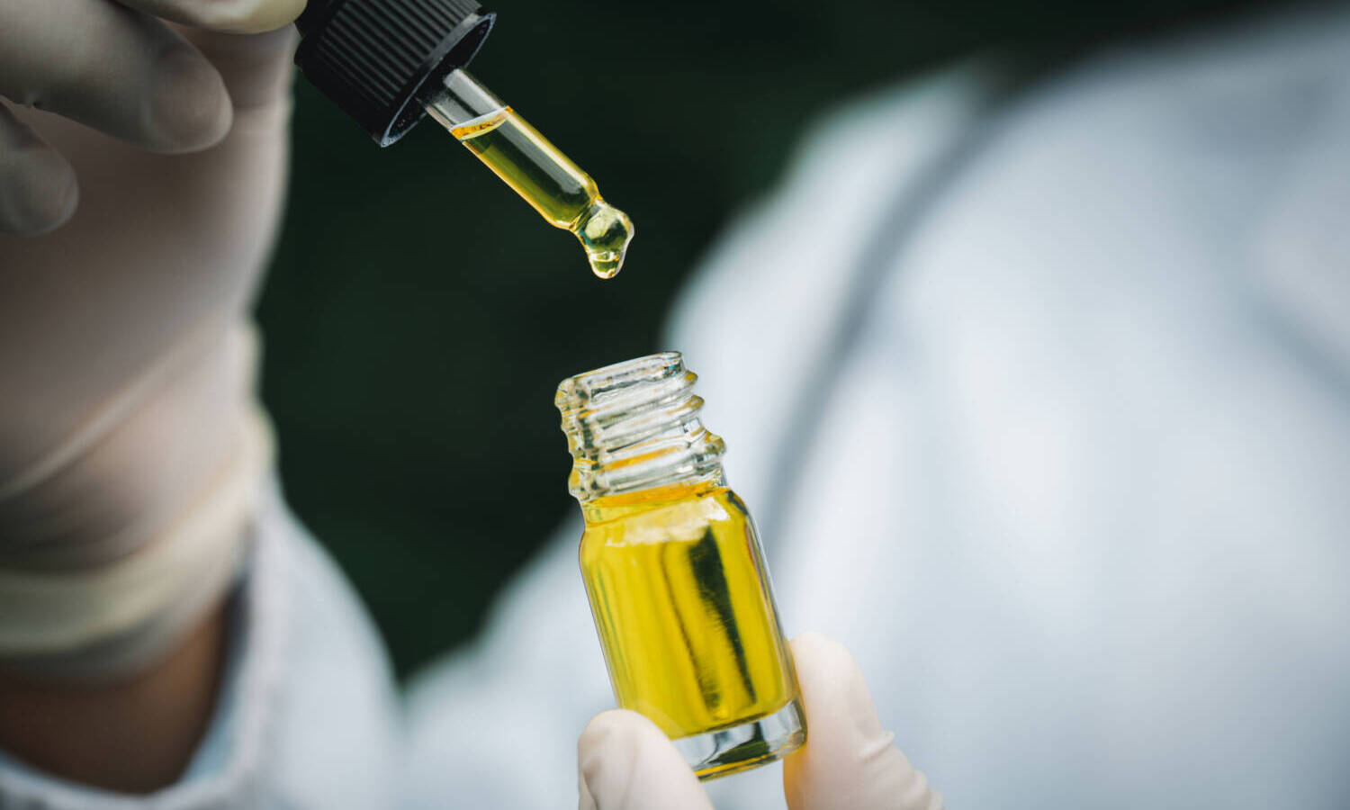 cannabis CBD oil