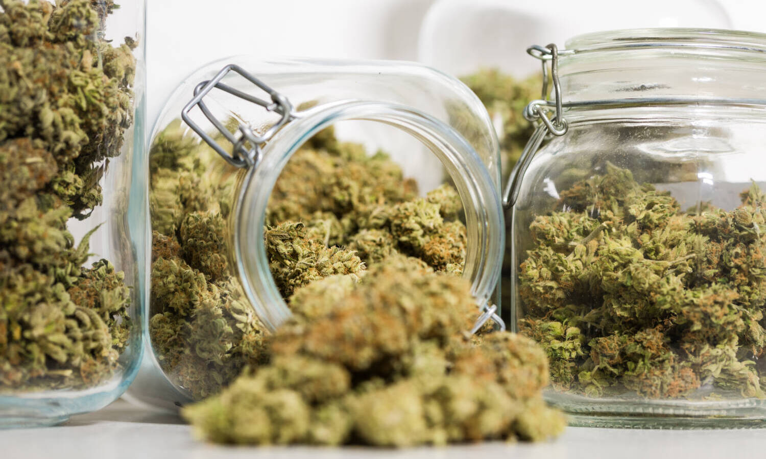 cannabis in jars