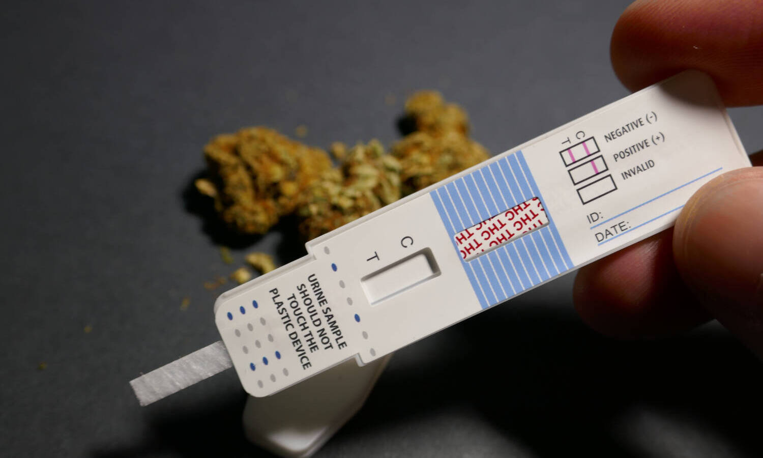 marijuana drug test