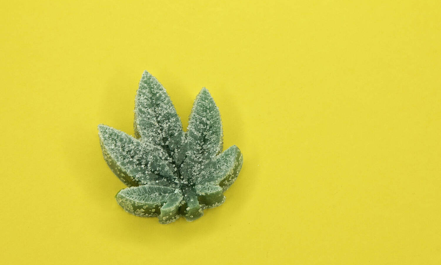 DOT Bucks Trump About Cannabis