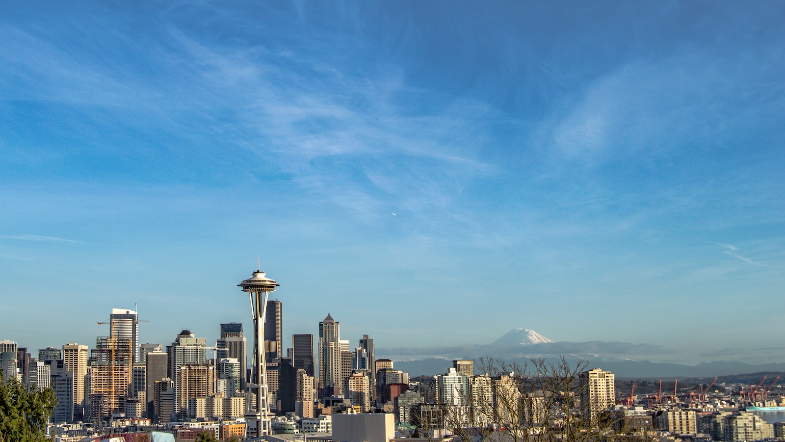 city skyline under blue sky during daytime
