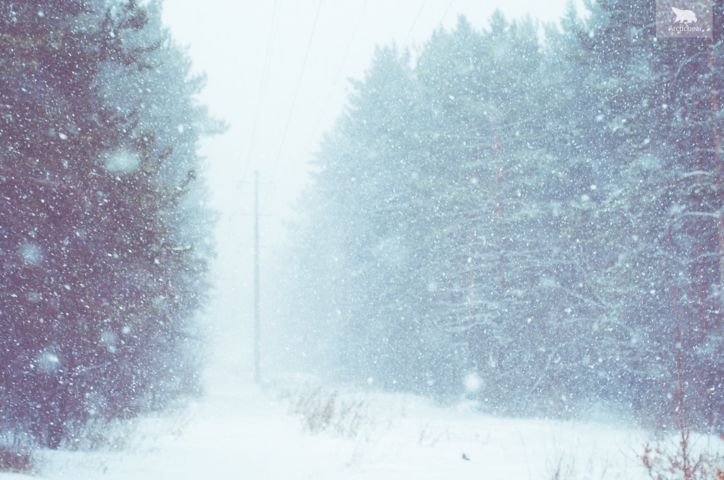 Best Marijuana Hacks For Winter