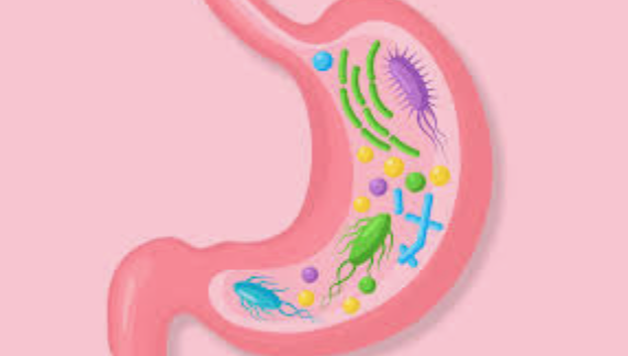Marijuana And Gut Health