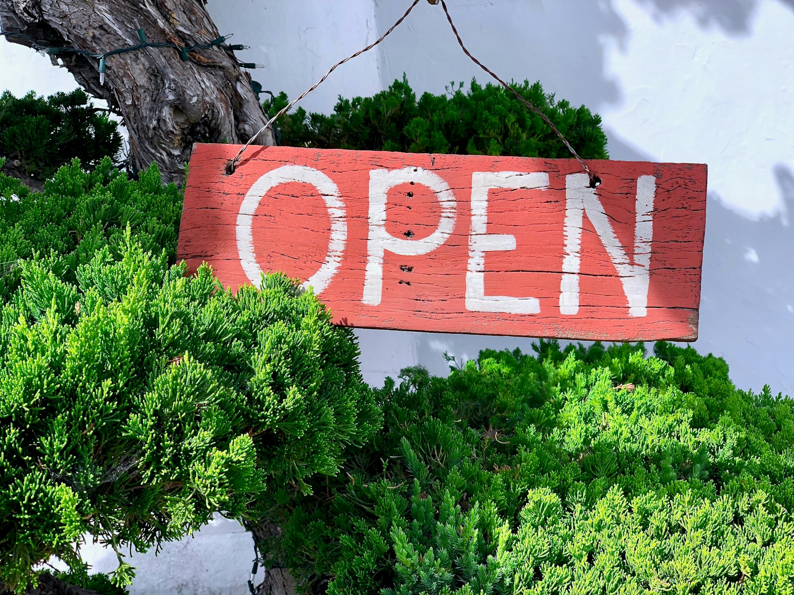 The Best Advice For Starting A Cannabis Business