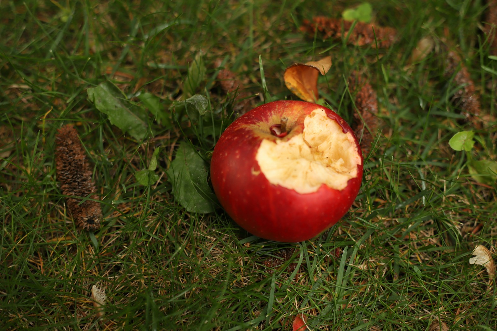 New Jersey Is Taking A Huge Bite Of The Big Apple's Weed