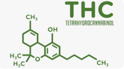 What is THC