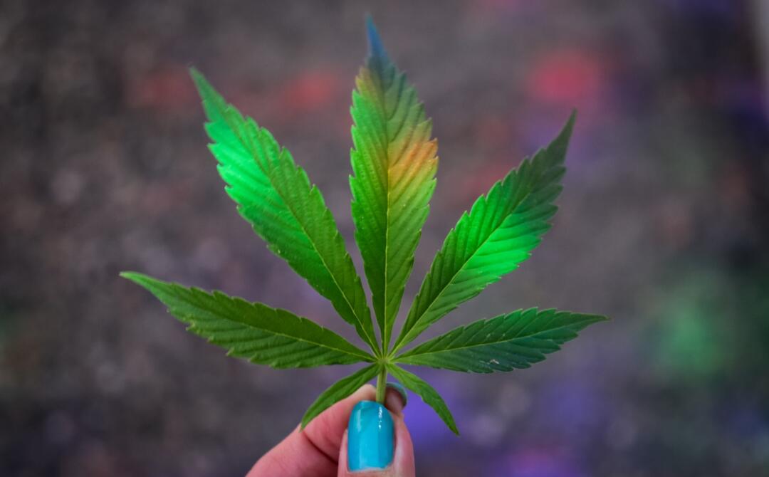 5 Suggestions To Celebrate 4/20
