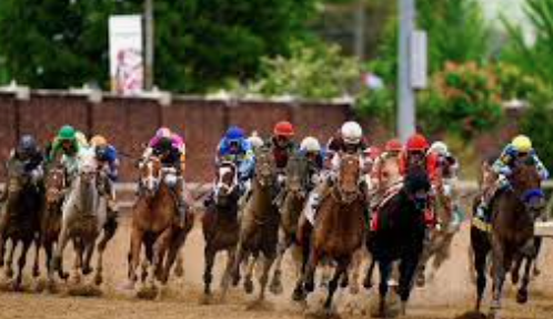 Off To The Horse Races With Cannabis
