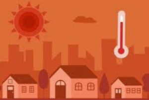 Can Cannabis Cool Your Heat Dome Misery