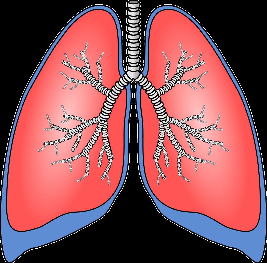 Treating Pneumonia Symptoms And Side Effects With Medical Marijuana
