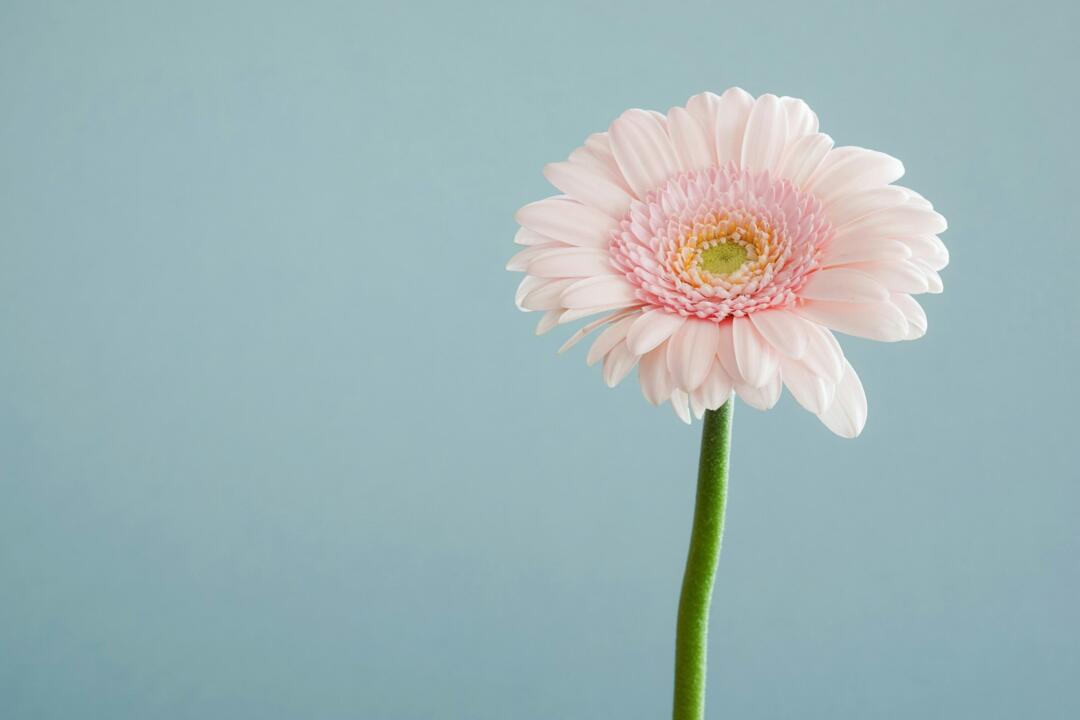 How To Practice Gratitude In Times Of Grief And Uncertainty