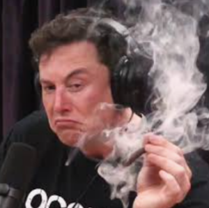 Elon Musk And The Potential Future Of Legal Cannabis