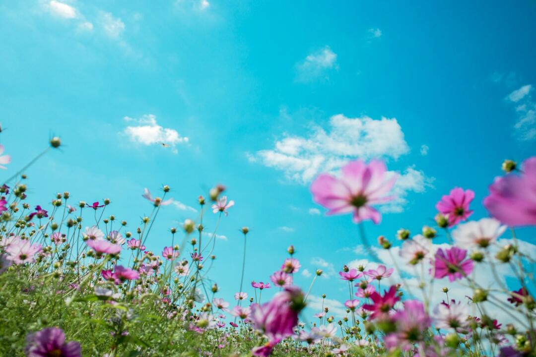 3 Things To Make This Spring Weekend The Best