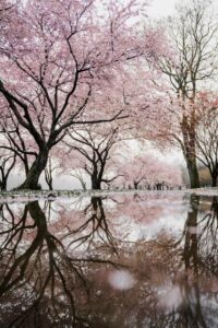 3 Things To Make This Spring Weekend The Best