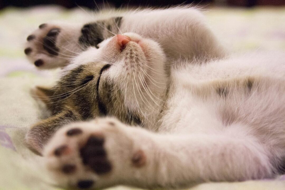 The Best Hacks To Sleep In Summer Heat