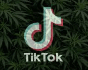 TikTok Is Changing the Cannabis Industry