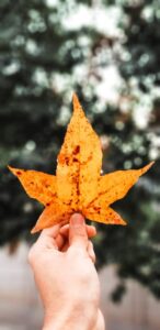 Cannabis Might Be the Secret to Winning Cuffing Season