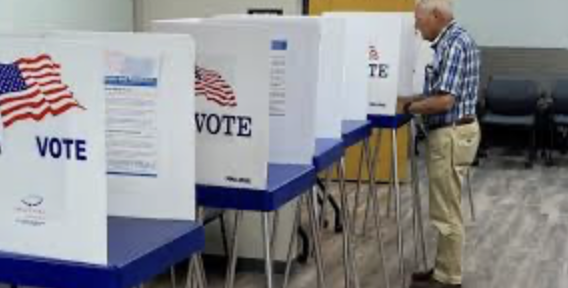 Do Public Votes About Cannabis Matter Currently
