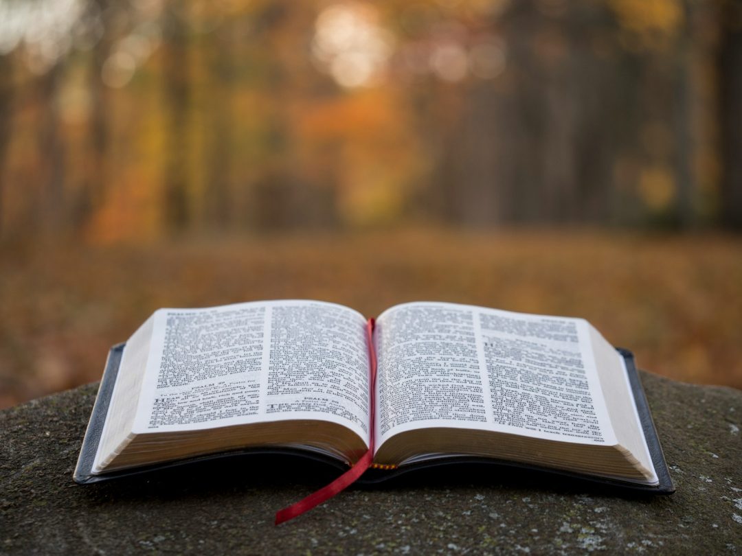 What The Bible And Early Christianity Say About Cannabis