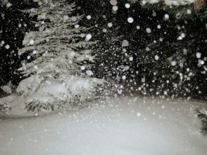 Snowstorms, Cannabis And Some Interesting Tibdits