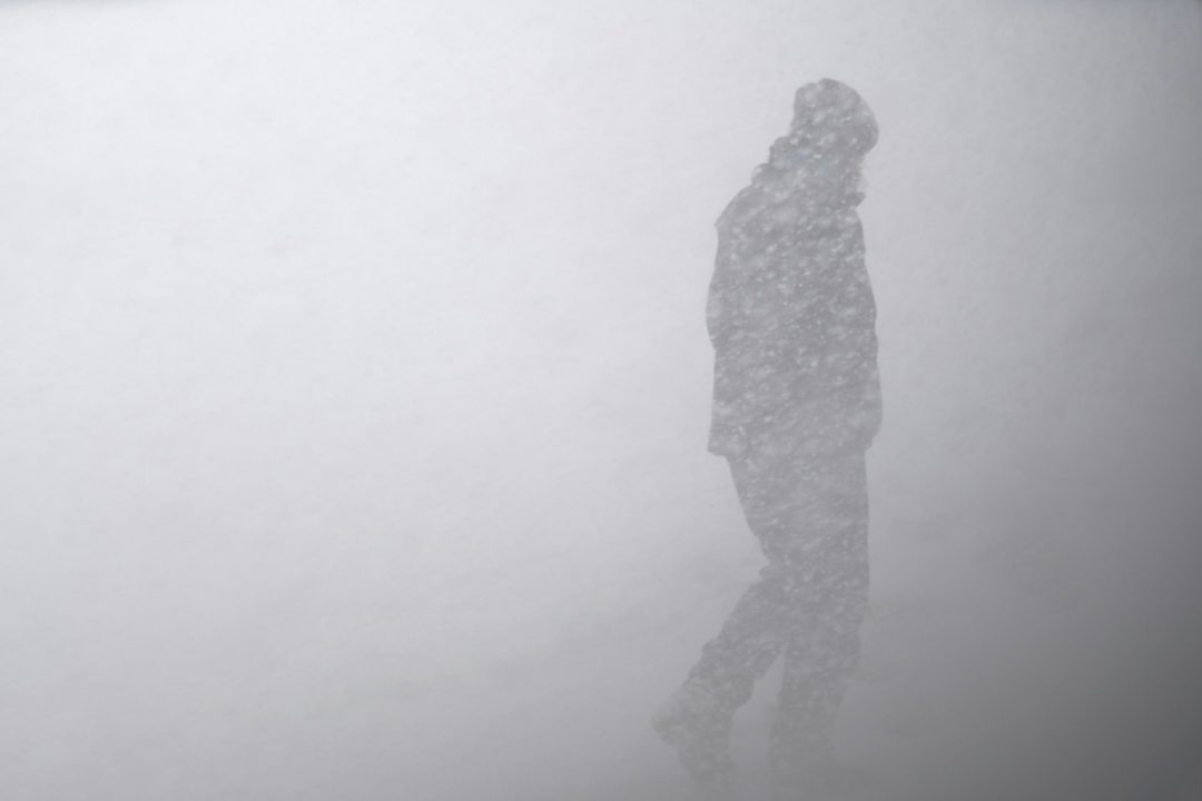 Snowstorms, Cannabis And Some Interesting Tidbits