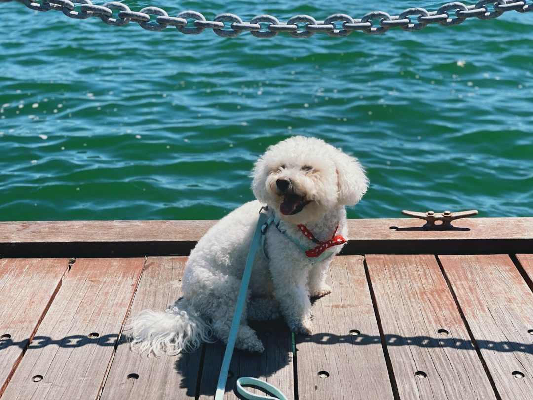 Science Confirms Choosing Joy Boosts Mind and Body