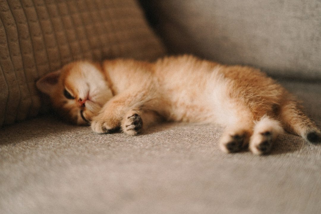 Cannabis And The Different Ways You Sleep