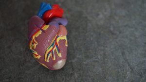 Can Cannabis Help With Hypertension
